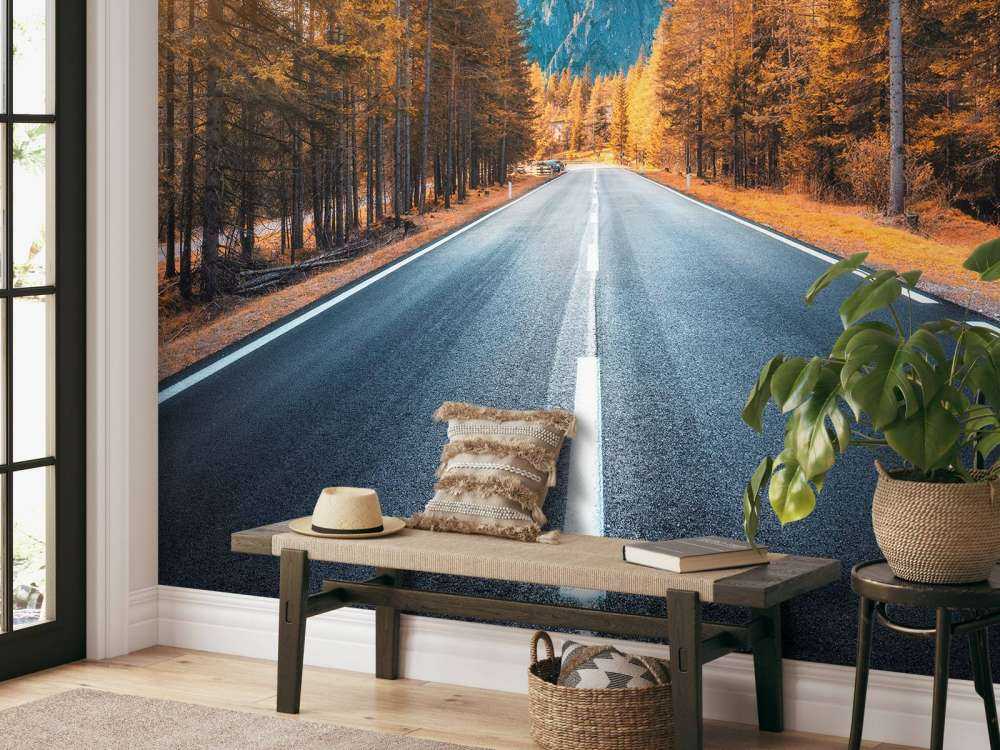 Road in autumn