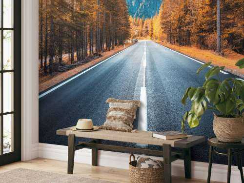 Road in autumn
