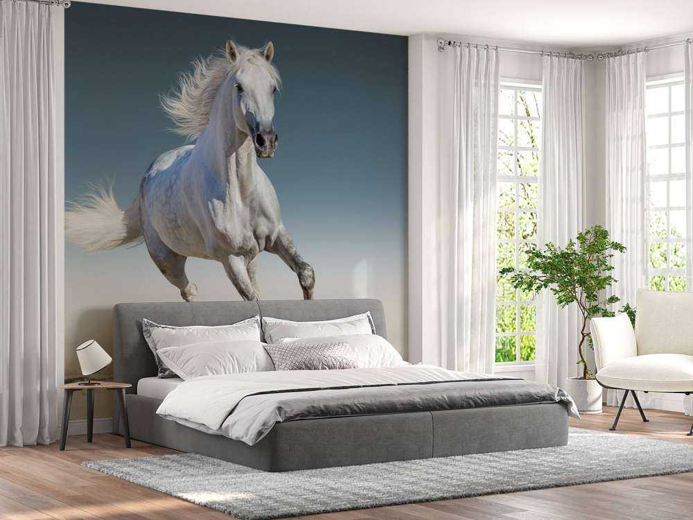 Galloping horse