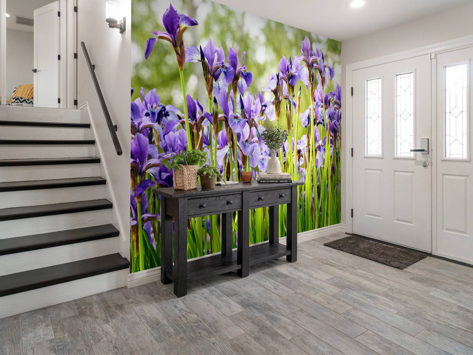 Irises 