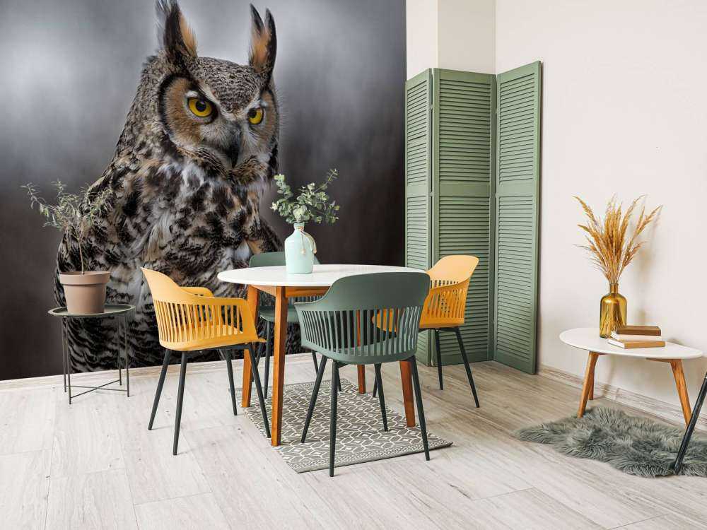 Brown feathered owl