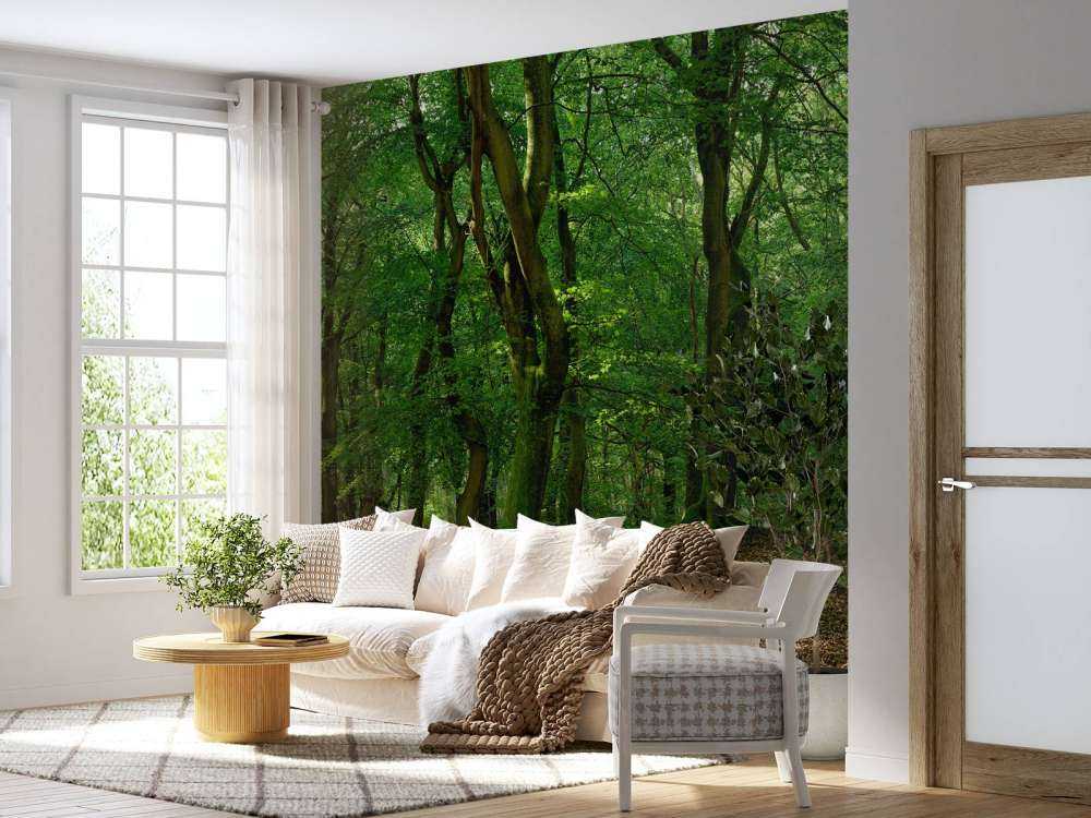 Trees with green leaves