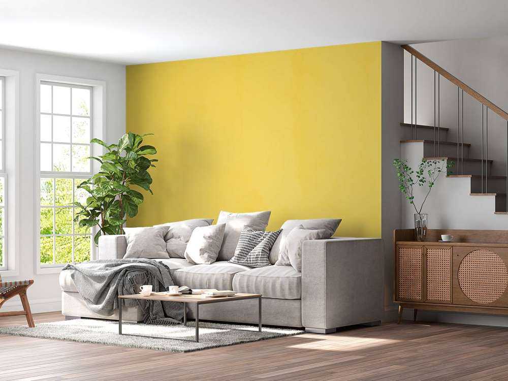 Minion yellow concrete