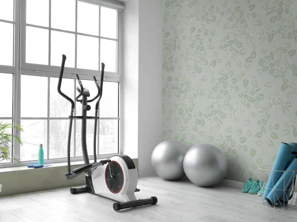 Small leaves on grey green