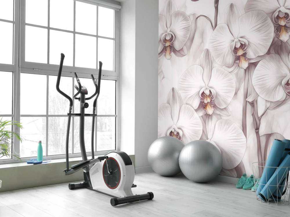 Orchids Paradise Red