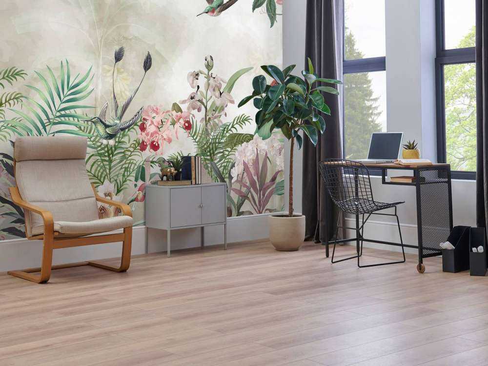 Tropic and Orchids 2