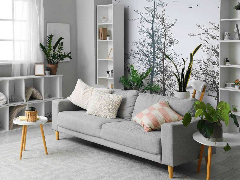 Winter Contour Forest Silence