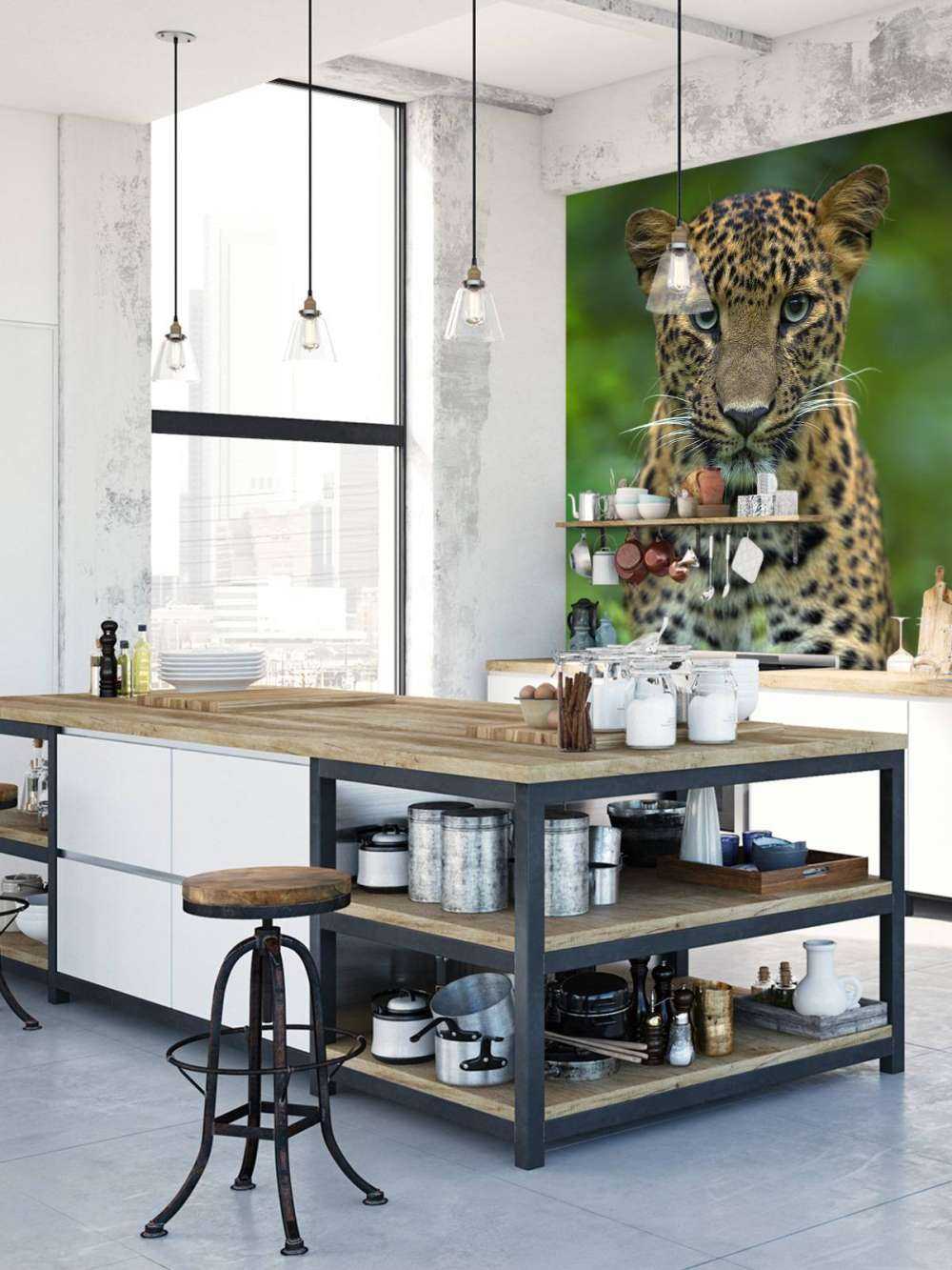 Concentrated leopard