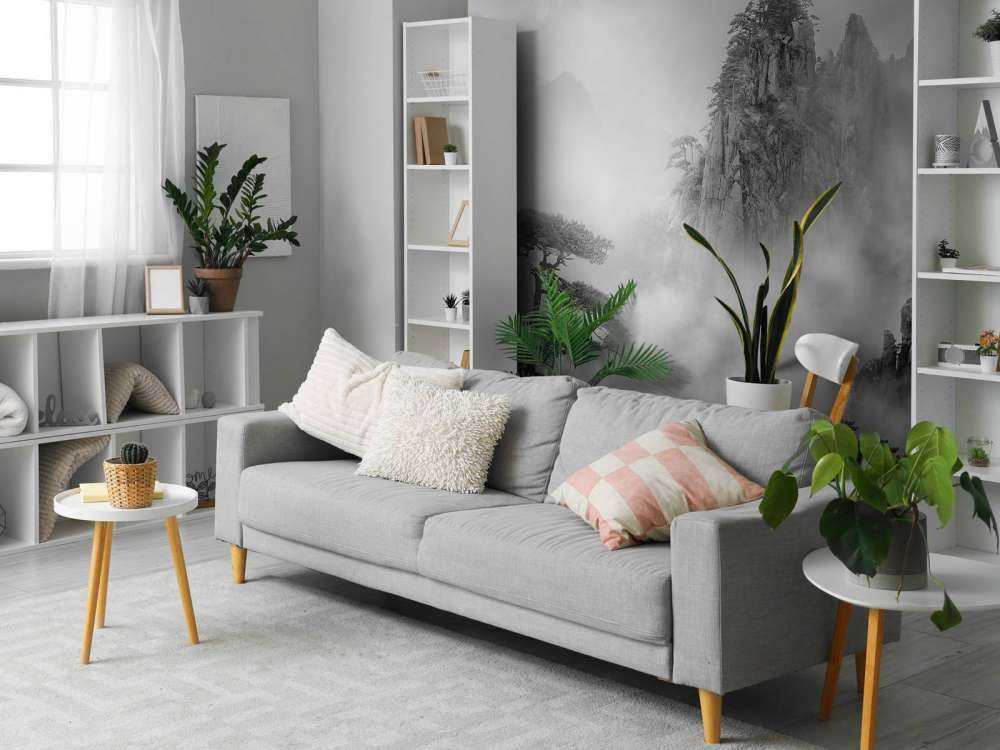 Huang Shan In The Fog