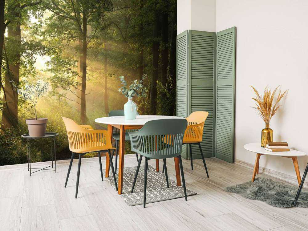 Misty spring morning