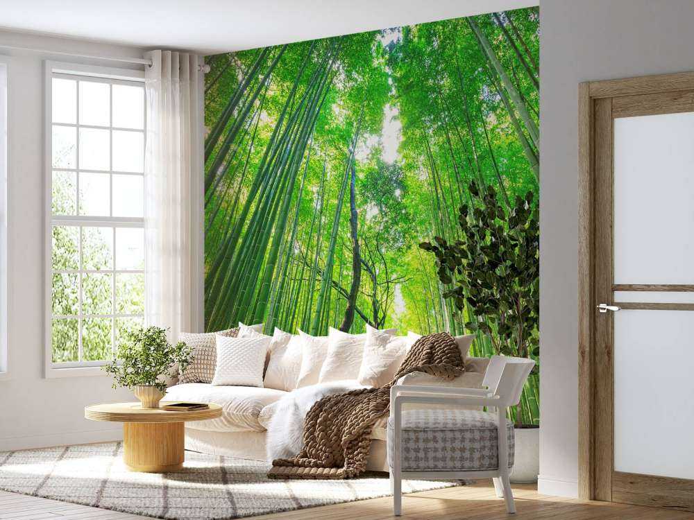 Bamboo forest of Arashiyama