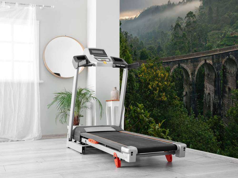 Railway bridge through jungle