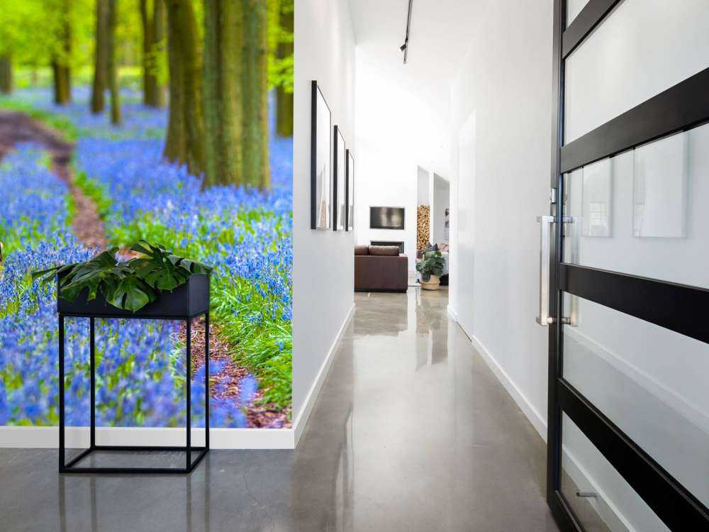 Bicycle in the forest