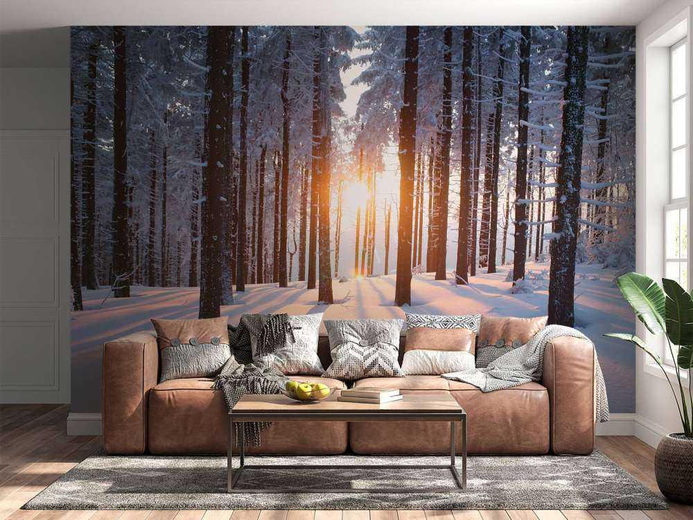 Sunset in a winter forest