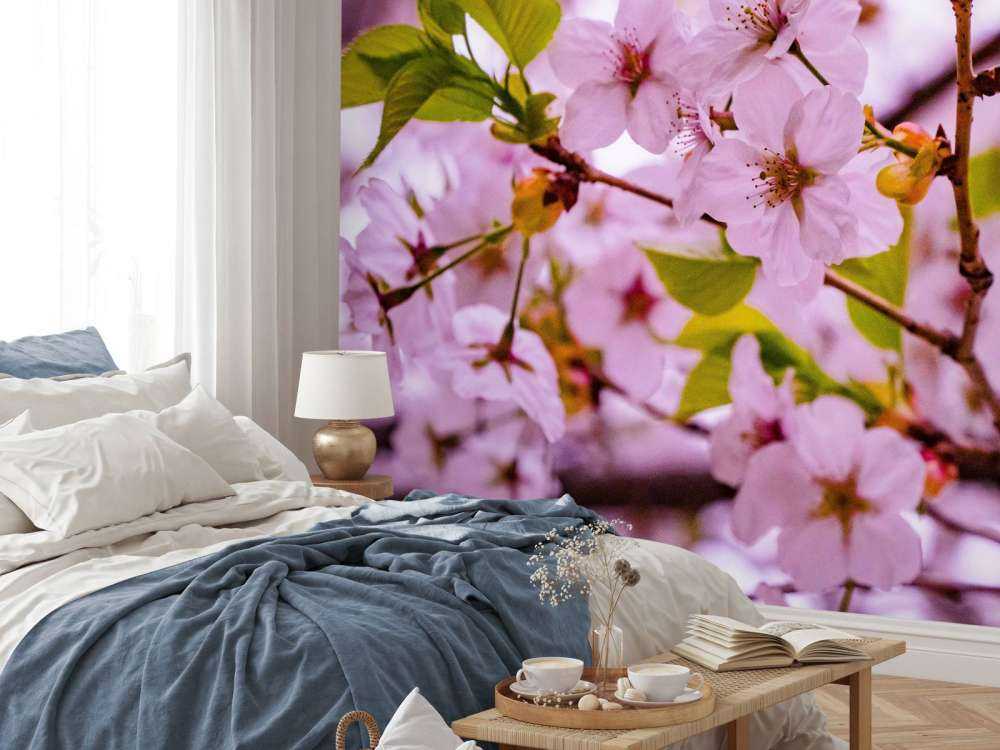 Pink blossoms with petals