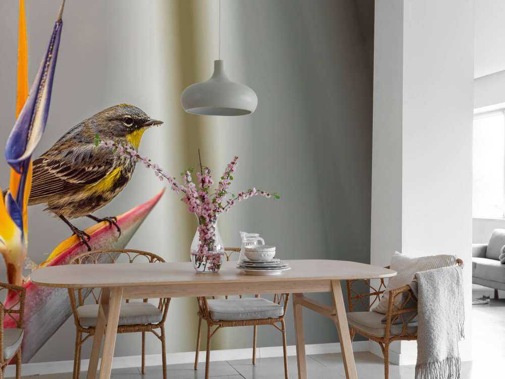 Paradise flower with bird