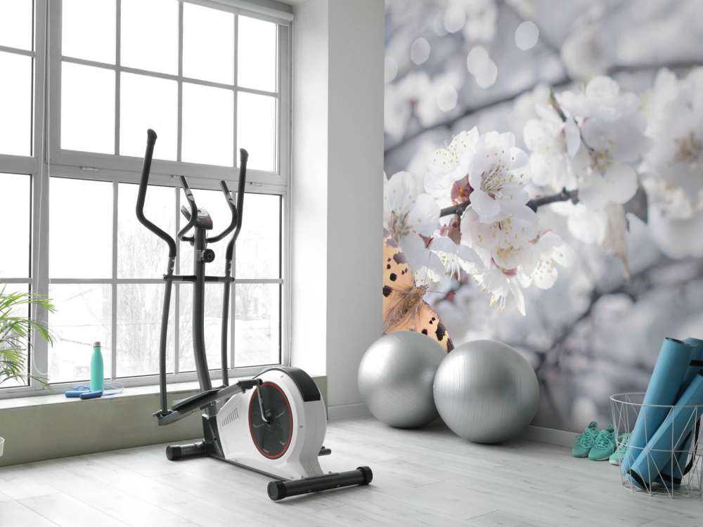 Butterfly with white blossoms