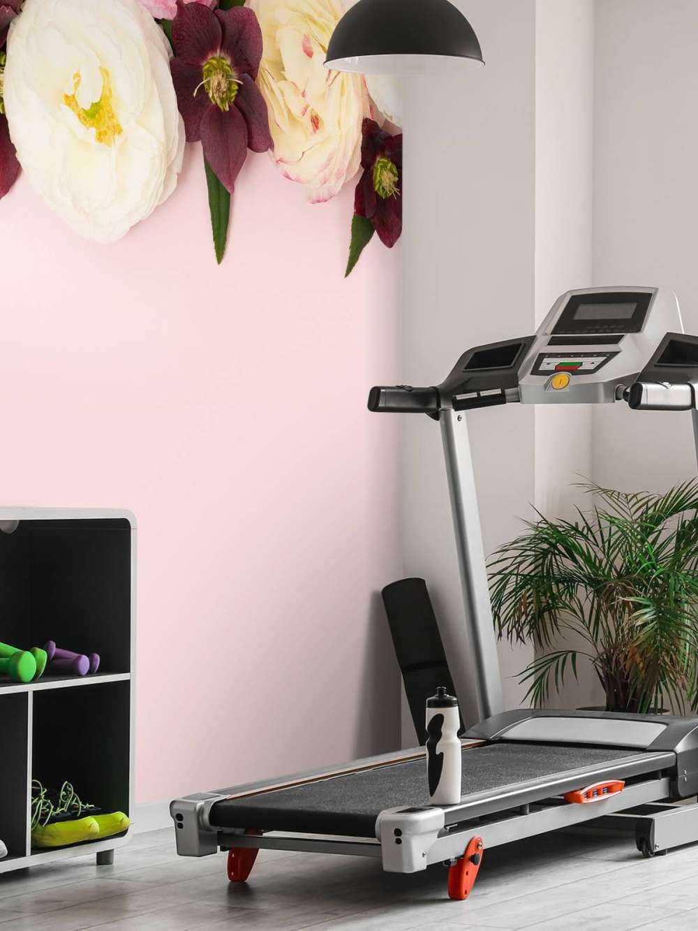 Different colored flowers