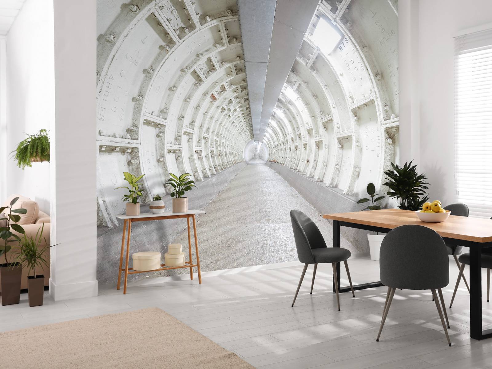 Abandoned Tunnel