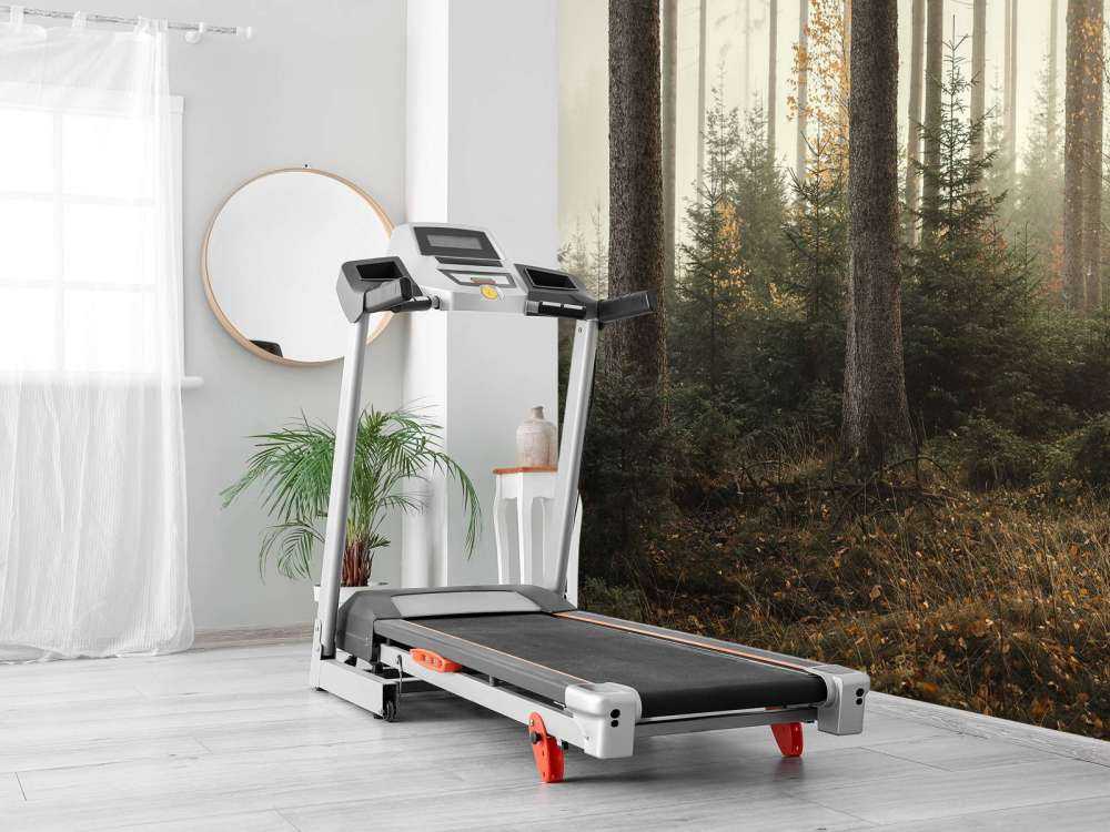 The Kaufunger forest