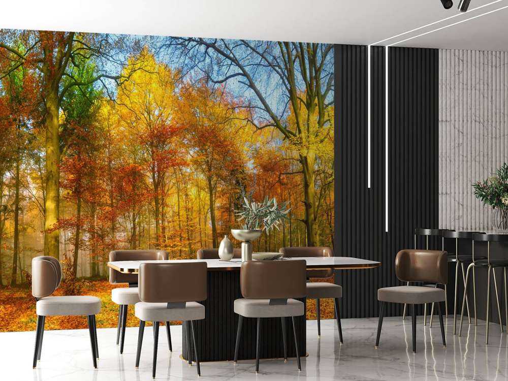 Colorful forest panorama