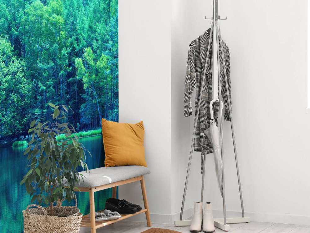 Lake in the green forest