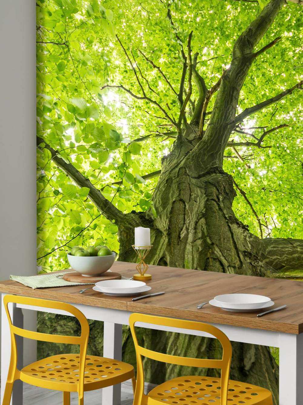 Large tree in the forest