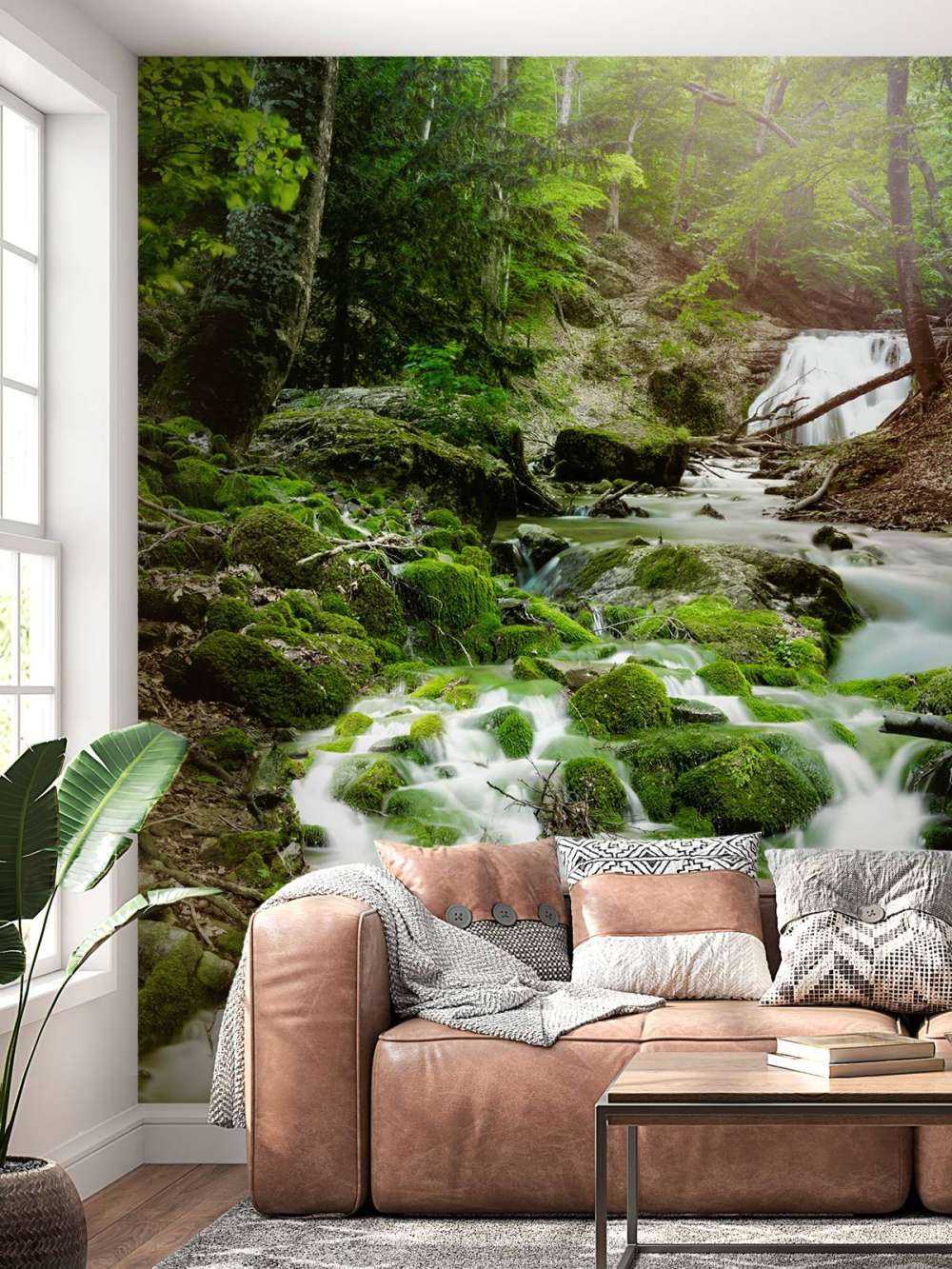 Waterfall in the Jungle