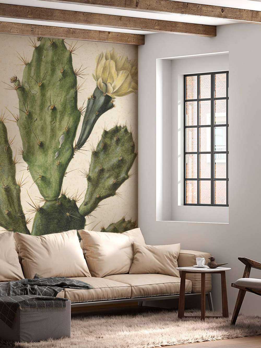 Flowering fig cactus