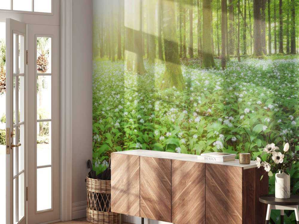 Wild forest at sunrise