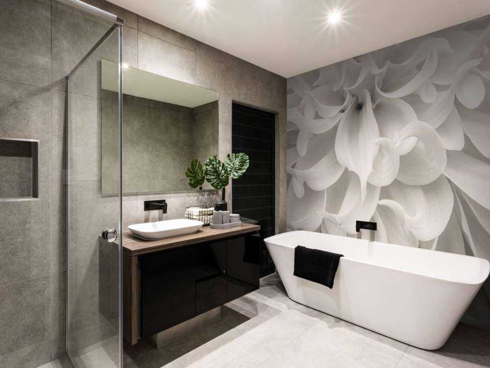 Close-up of Dahlia flower