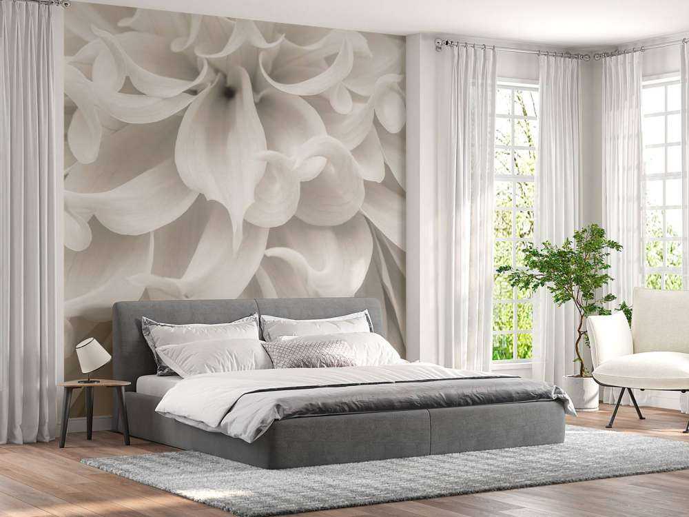 Close-up of Dahlia flower