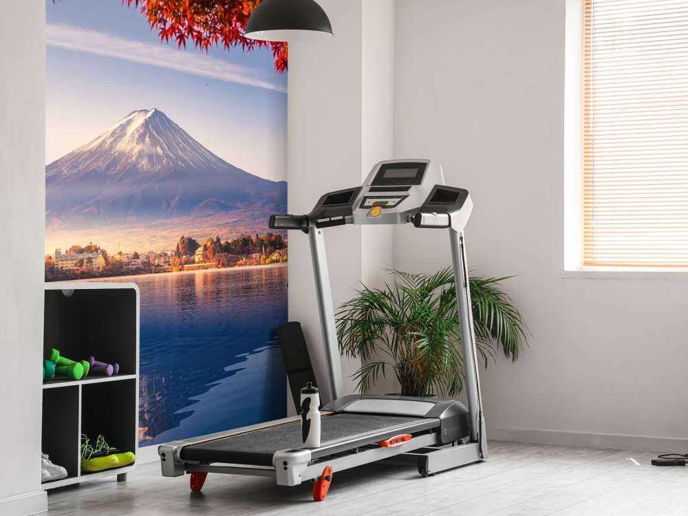 Mount Fuji in autumn