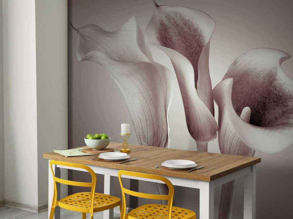 Calla Lys