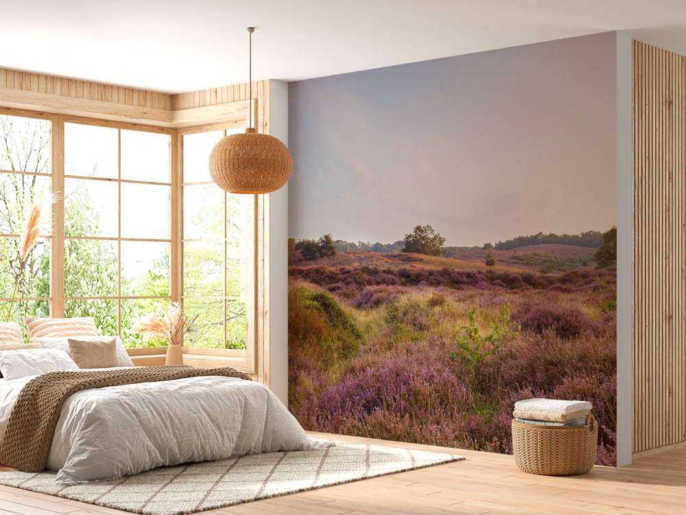 Heathland at sunrise