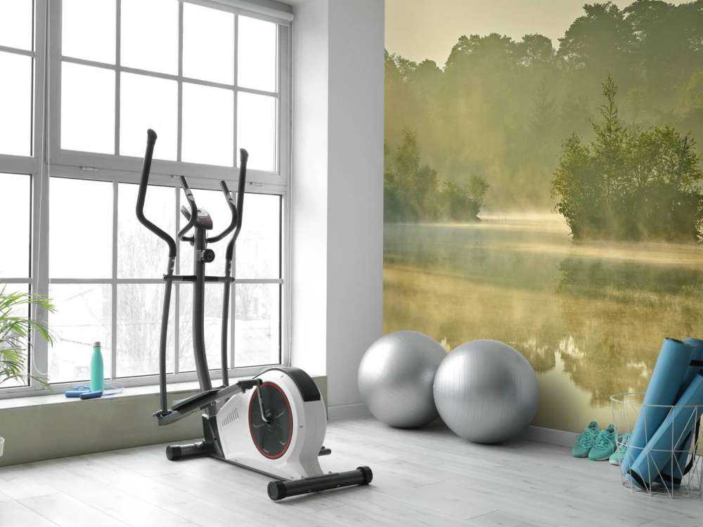 Nebula above a forest lake