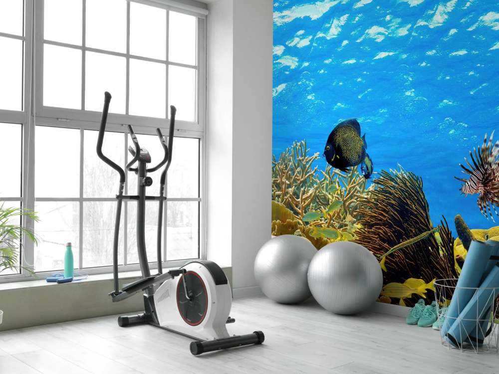Underwater panorama