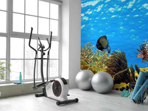 Underwater panorama