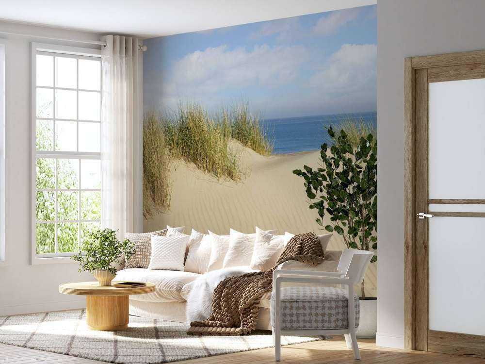 Dune passage to the beach