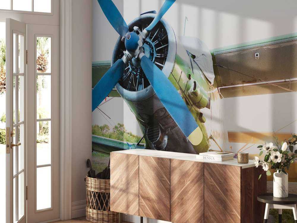 Small single-engine private plane