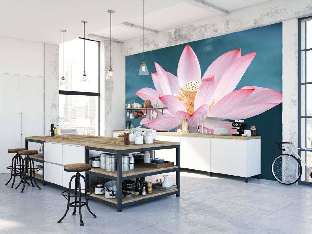 Close-up lotus flower