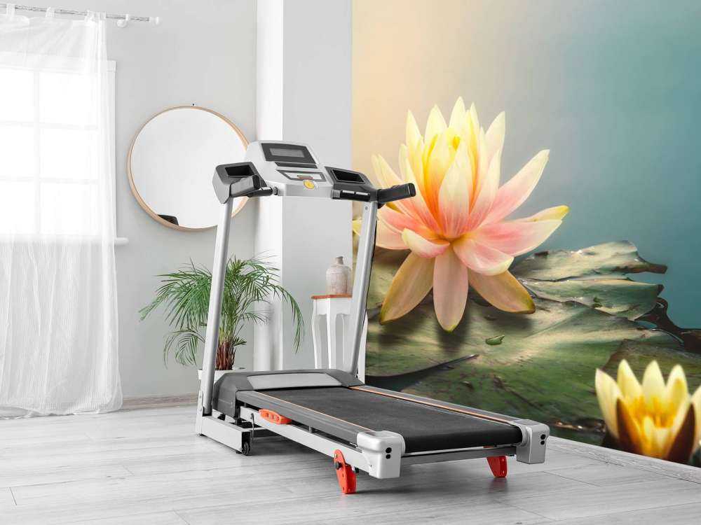 Pond with lotus flowers