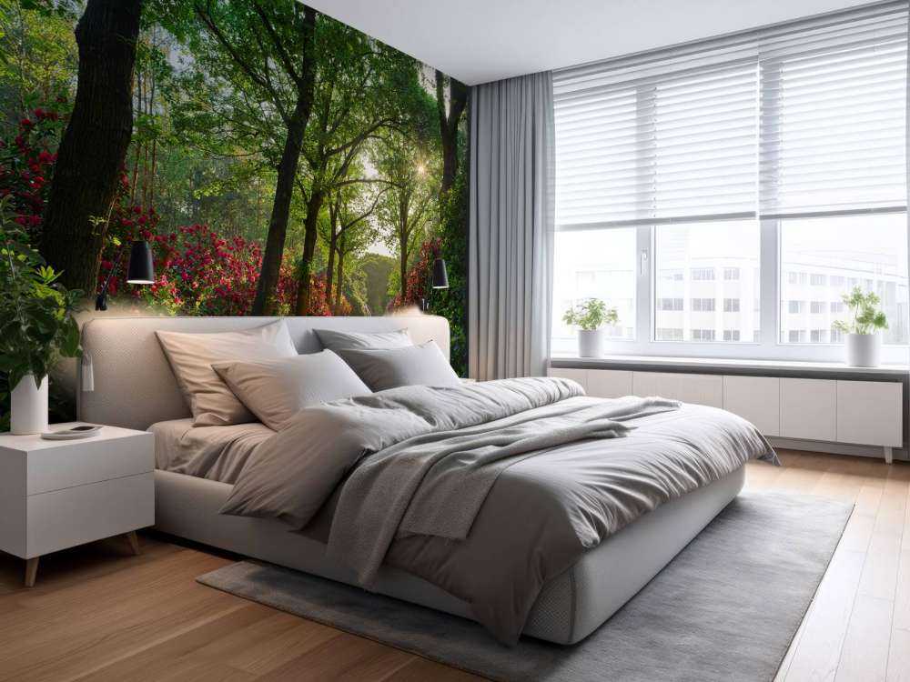 Sunrise at path with rhododendrons