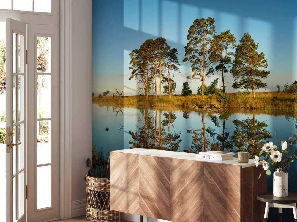 Reflection in forest lake