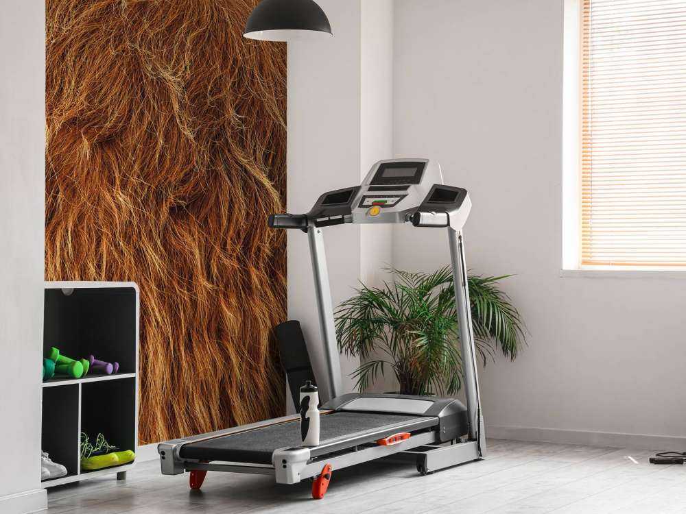 Vintage Scottish Highlander coat