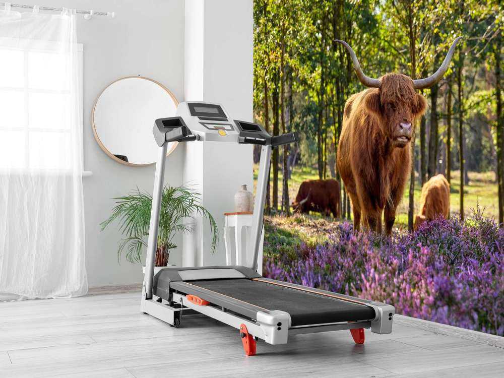 Highlanders in nature reserve