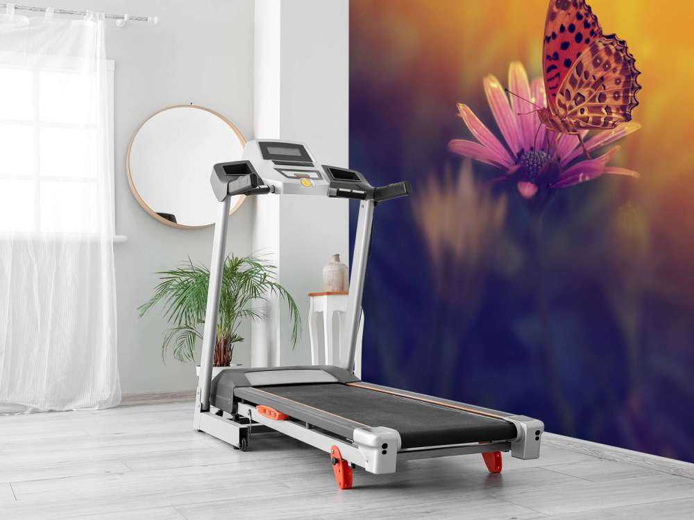 Red butterfly on flower