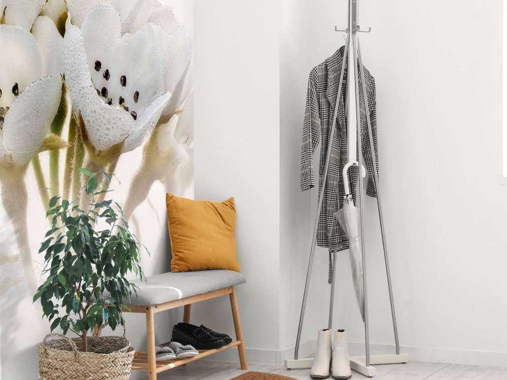 Pear blossom close-up