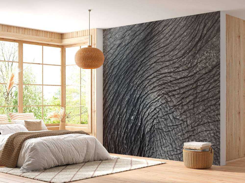 Close-up elephant skin