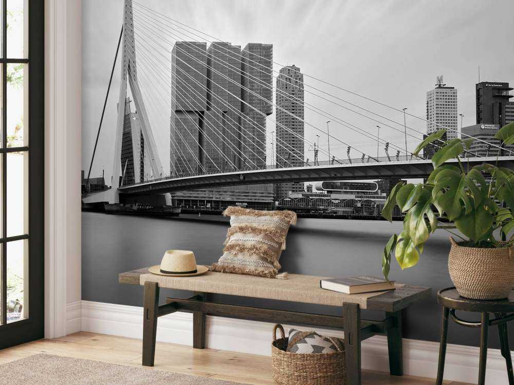 Erasmus bridge black and white